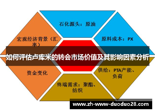如何评估卢库米的转会市场价值及其影响因素分析